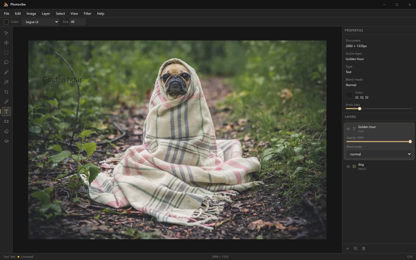 A committed text layer above the photo